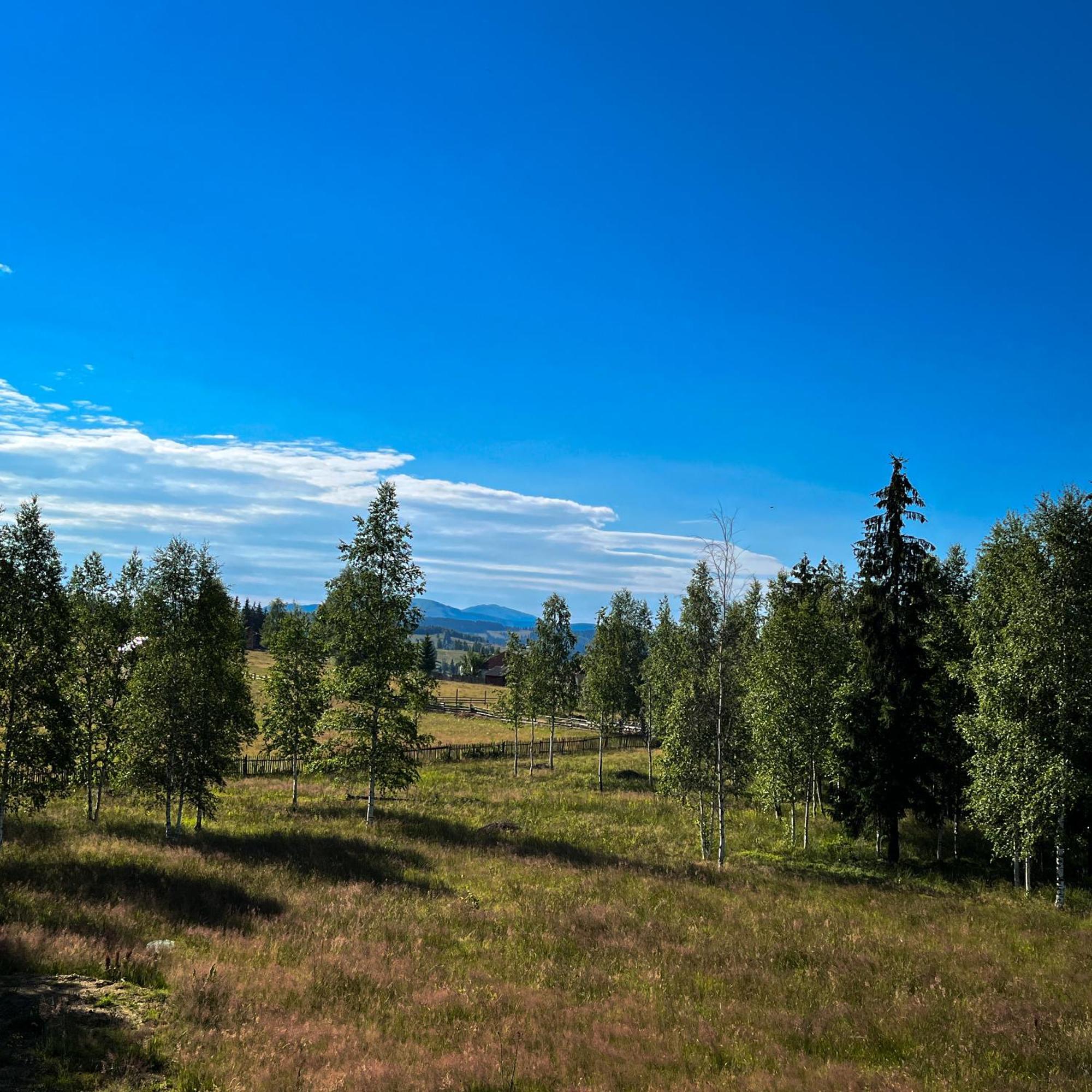 Chalet Delut Botus Экстерьер фото